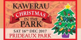 Kawerau Christmas in the Park